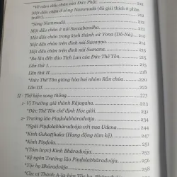 Đức Phật và 45 Năm Hoằng Pháp Độ Sinh - Tập 17 756011