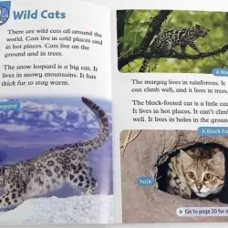 Sách khoa học - Oxford read and discover/imagine level 1, 20 cuốn tặng file nghe 936574