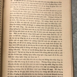 NĂNG LỰC TINH THẦN - BERGSON 455482
