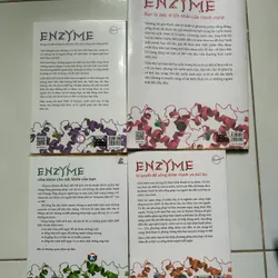 Bộ nhân tố enzyme 4 quyển 704306