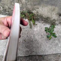 Bóng đè tập truyện của Đỗ Hoàng Diệu  1029199