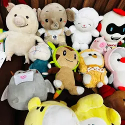ĐẠI TIỆC GẤU BÔNG – COMBO 15 BÉ CHỈ 200K (TÍNH RA 13K/BÉ) 🧸 1045220