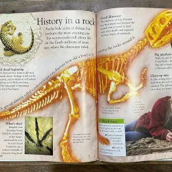 DK Eyewonder Series - Rocks and Minerals 730869