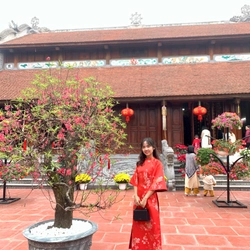Áo dài Đỏ Tết  446622