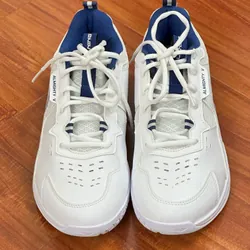 Giày Cầu Lông/Pickleball Nam Thể Thao Li-Ning Almighty V 603219