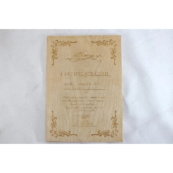 ＭＯＭＯＳＥ ＭＳＴ２－２５Ａ ＬＴＤ／Ｍ - Hàng hiệu Authentic 879180