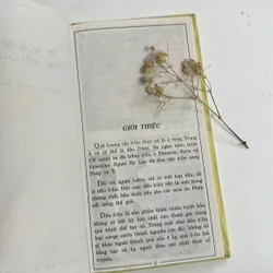Bán sách cũ – Các món ăn dùng dầu Ô-liu – Song Hồng (biên tập) 594777