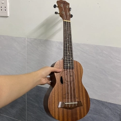Đàn Ukulele size 21