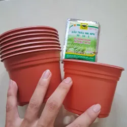 Túi phân bón NPK - chậu nhựa trồng cây 1027564