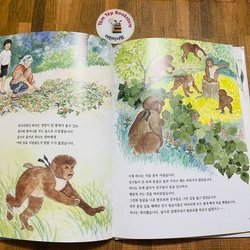 Set sách tranh tiếng Hàn 아이성장 그림책 - bìa cứng khổ to 501527