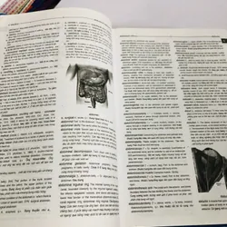 TỪ ĐIỂN Y HỌC ANH - VIỆT   604743