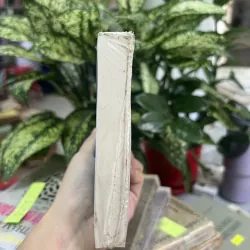 CÔ GÁI NHÀ BÊN - QUỲNH TRÂM 1010116