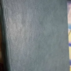 không chốn nương thân 1023099