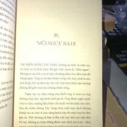 Sư tử tuyết bờm xanh - Surya Das 1021747