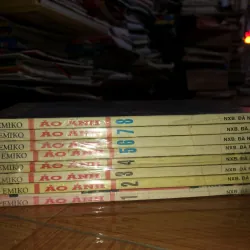 Ảo ảnh - Sugi Emiko 935300