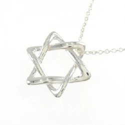 Tiffany Davide Necklace - Hàng hiệu Authentic 841057