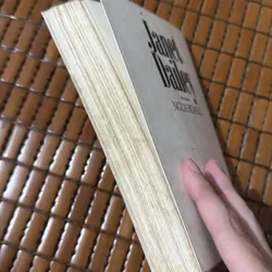 Ngựa hoang - Janet Dailey 568593