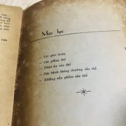 PHƯƠNG PHÁP NUÔI THỎ VÀ GIÁ TRỊ CỦA THỌ TRONG ĐỜI SỐNG  956875
