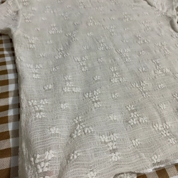 Áo cộc tay ren trắng trong suốt 462978
