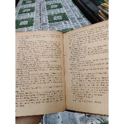 Hoa phù dung núi - Phạm Hữu Tùng 1028042