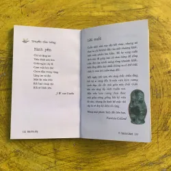 COMBO BÌNH TĨNH SỐNG & ĐIỀU DIỆU KỲ TỪ CÁCH NHÌN CUỘC SỐNG 790780