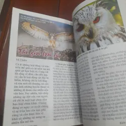 Tạp chí KIẾN THỨC NGÀY NAY số 988 ngày 20.01.2018 606639