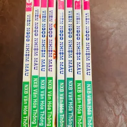 Viên Ngọc Nhiệm Màu trọn bộ 8 tập 570126