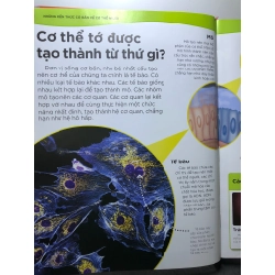 Tại sao máu lại đỏ? 2022 mới 90% BÌA CỨNG DK HPB0508 KHOA HỌC ĐỜI SỐNG 451463