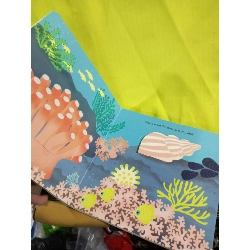 Ai trốn dưới biển thế nhỉ? mới 80% (Sách thiếu nhi) HLSC2404 1028333