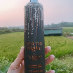 Into The night 236ml 109547