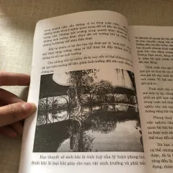 Phong thuỷ trong kiến trúc xây dựng nhà ở hiện đại 976027