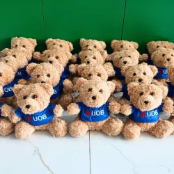 Gấu Bông Cao Cấp Teddy Cho Bé yêu 535314