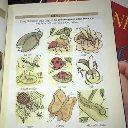 Khoa học thật hấp dẫn  1010087