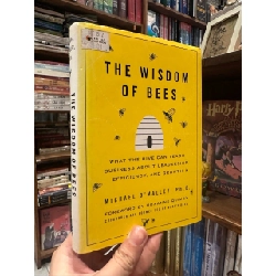The Wisdom of Bees - Michael O'Malley