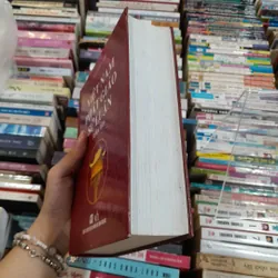 VIỆT NAM PHẬT GIÁO SỬ LUẬN ( TOÀN TẬP) - NGUYỄN LANG 729870