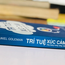 📘 TRÍ TUỆ XÚC CẢM – Daniel Goleman 482818
