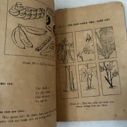 Tìm hiểu khoa học 1046902