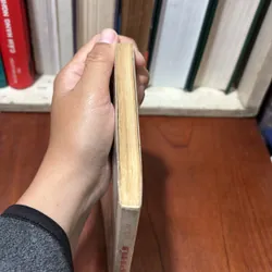 II Tủ Sách Văn Học Trong Nhà Trường: Đỗ Phủ - Phó Tiến Sĩ Hồ Sĩ Hiệp (Biên Soạn) - 1999 722442