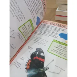 Spot 50 insects: How to identify 50 species 681973