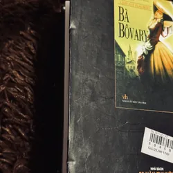 Bà Bovary (bìa cứng) 737310