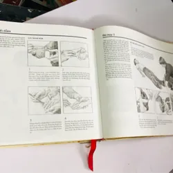 📖 CẨM NANG SỨC KHOẺ GIA ĐÌNH 553537