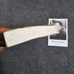 Chuyện tình giai nhân - trương ái linh 974579