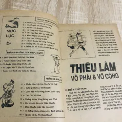TÌM HIỂU VÕ THUẬT THIẾU LÂM NỘI NGOẠI CÔNG 222815