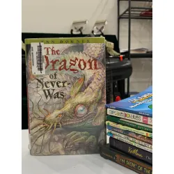 The Dragon of Never-Was – Ann Downer