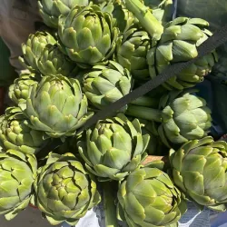 Bông Atiso loại 1 1009247