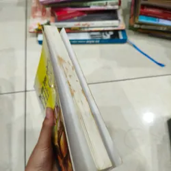 Những bí ẩn lớn nhất thế giới 🌱 574883