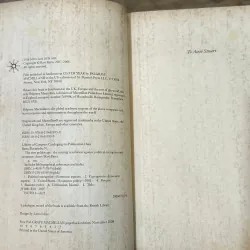 The New Golden Age - Ravi Batra 730853