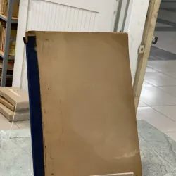 SAO RƠI - TRÚC SĨ