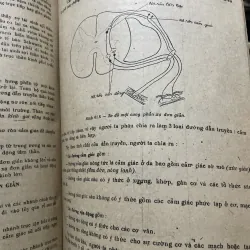 Bài giảng giải phẫu bệnh học - 2 tập, sách dày hơn 800 trang khổ lớn  1009096