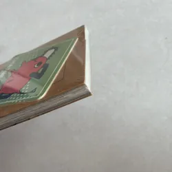 Chainsaw Man 1 (Co) 694089